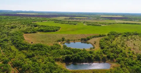 Hunting and Cattle Ranch
