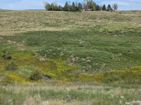Land with Creek Frontage
