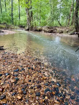 Hunting Land with Creek