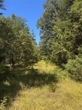 Heavily Wooded Land in Saddle Creek