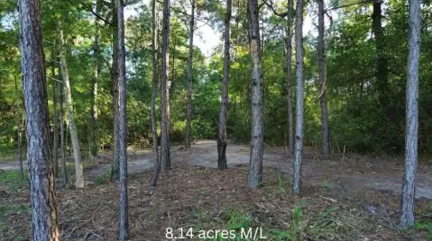 Residential Land in Lufkin ISD
