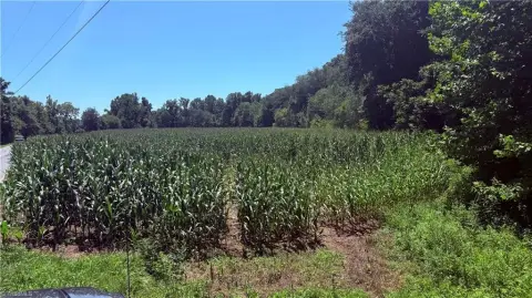 Riverfront Recreation Land Tract