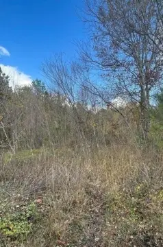 Residential Lot in Growing Area