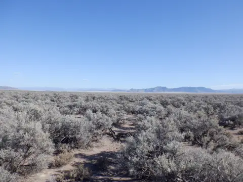 Flat Agricultural Land