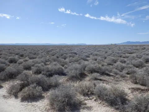 Flat Agricultural Land