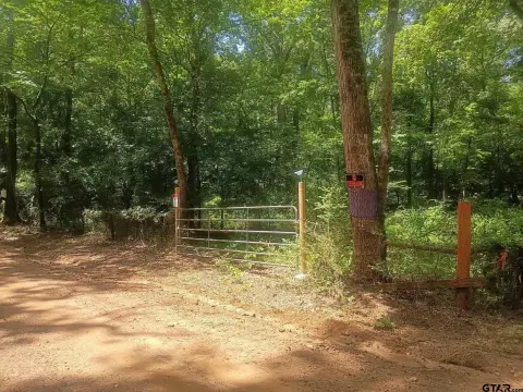 Wooded Hunting Land with Pond