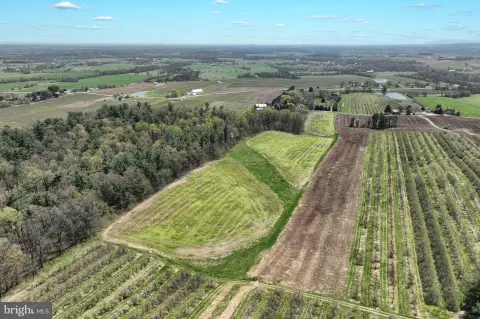 Beautiful Rural Land in Biglerville