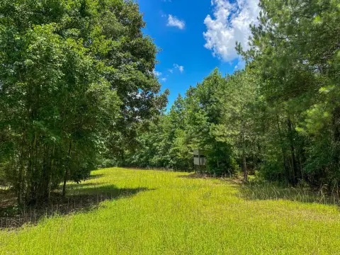 Sprott, AL Vacant Hunting Land