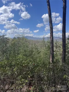 Lake Lure Land For Sale