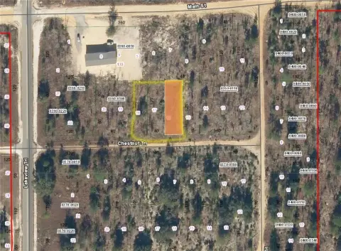 Residential Land in Interlachen, FL