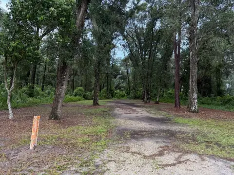 DeLand Land with Frontage