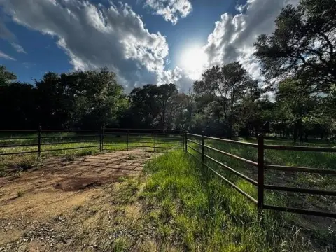 Wortham, TX: Untamed Land