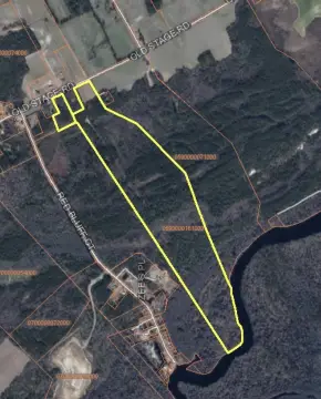 127 Acres in Mullins, SC