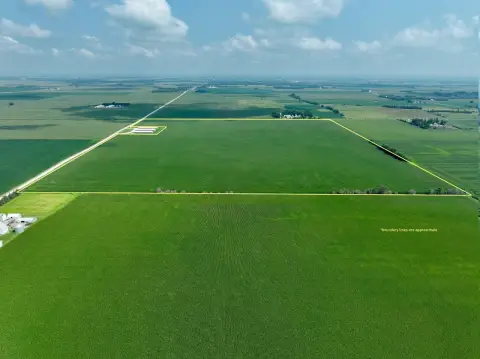 Agricultural Farmland with Pattern Tile