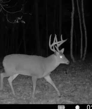 Recreational Land with Building Potential