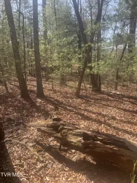 Greeneville Land with Views