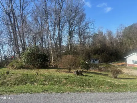 Residential Land in Johnson City