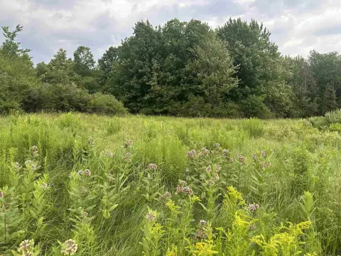 Farmland with Pasture and Woods