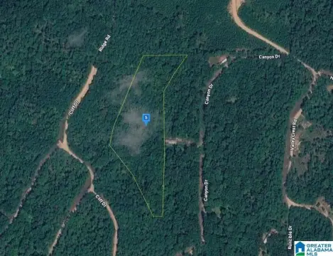 Vacant Land Lot With Flat Terrain