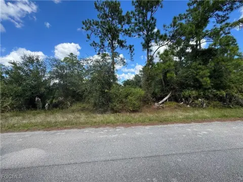 Residential Land in Fort Myers