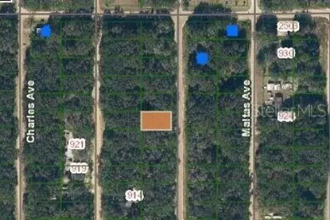 Interlachen Land with Building Potential