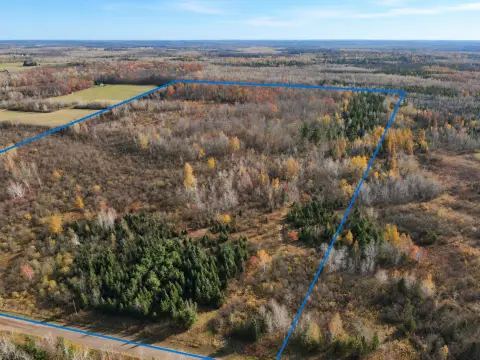 80-Acre Hunting Land with Trails