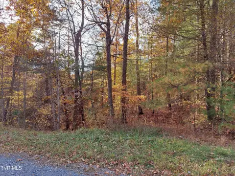 Del Rio Buildable Acreage