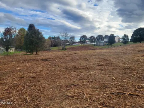 Residential Land in Limestone, TN