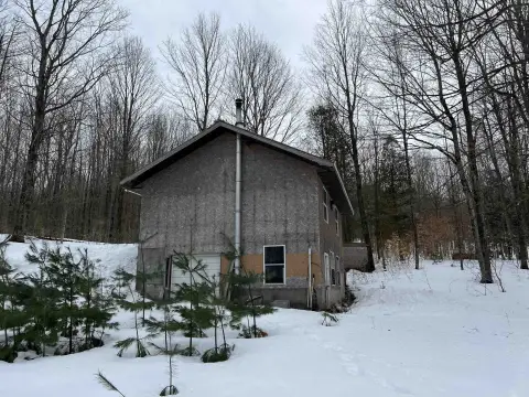 Productive Maple Sugarbush in Potsdam, NY