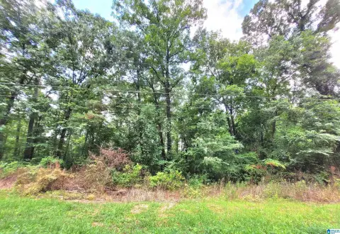Wooded Lot in Ponderosa Subdivision