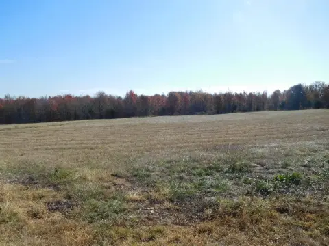 Gaffney Commercial Site For Sale