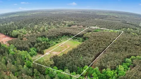 Nacogdoches Wooded Acreage Opportunity