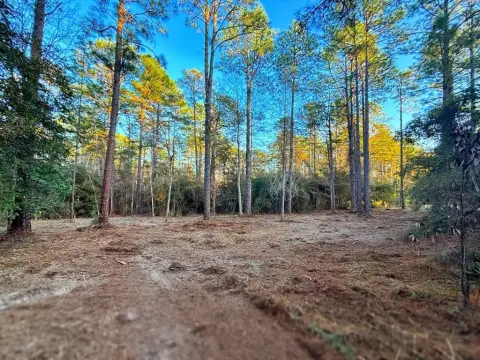 Vacant Land in Brookeland, TX