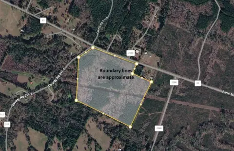 80 Acres of Timber Land