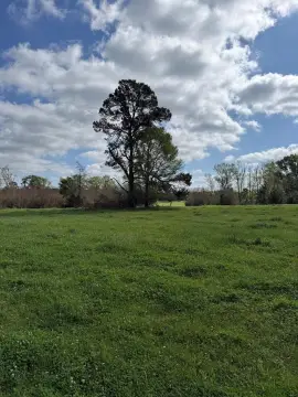 Nacogdoches Land in Appleby