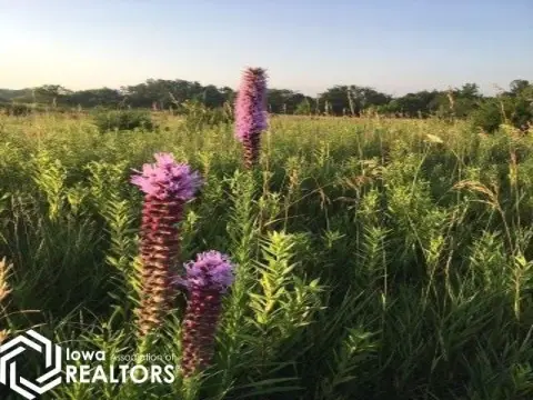 Land in Peaceful, Natural Environment