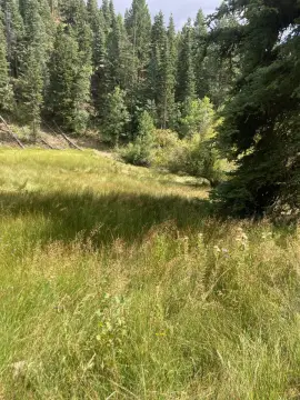 Mountain Residential Land Parcel