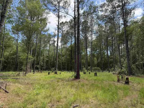 Georgetown Land Near Highway 17
