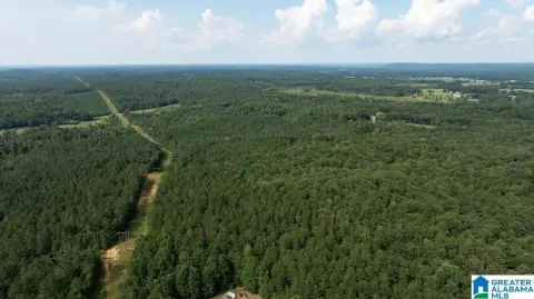 Wooded Land Tract