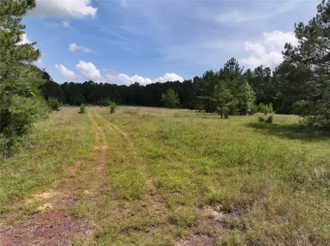 Turnkey East Texas Hunting Tract
