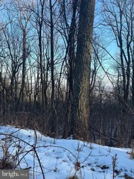 Land in Haymarket, Virginia