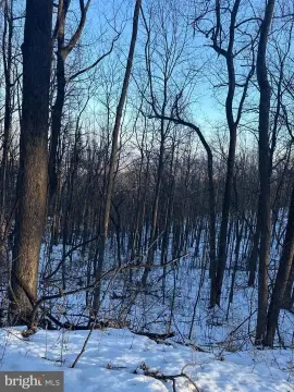 Land For Sale in HAYMARKET