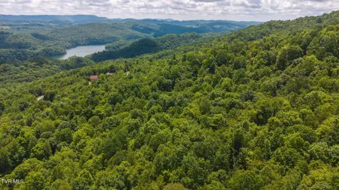 Wooded Lot Near Norris Lake