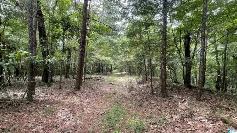 Wooded Acreage Homesites Property