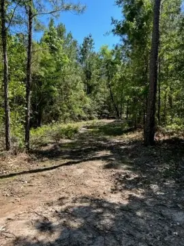 Unrestricted Land Near Lake Sam