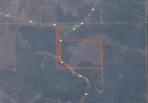 Hunting Land with Select-Cut Timber