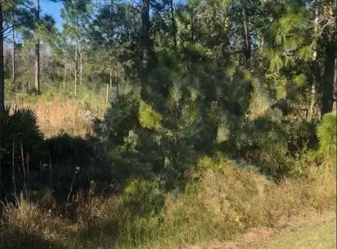 Okeechobee Land For Sale