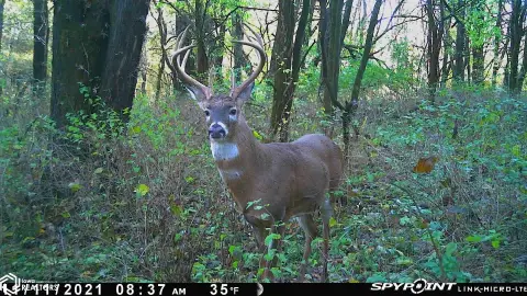 Secluded Timberland Hunting Getaway