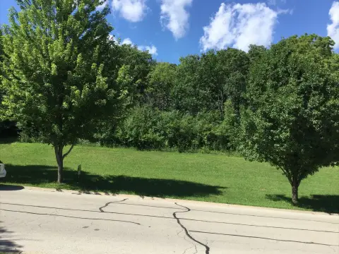 Large Wooded Residential Lot