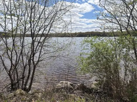 Waterfront Buildable Lake Lot